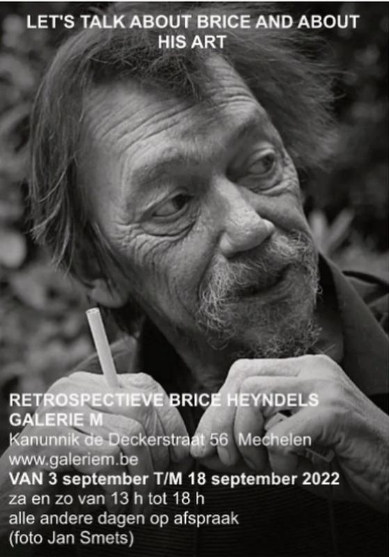 tentoonstelling galerie M van Brice Heyndels