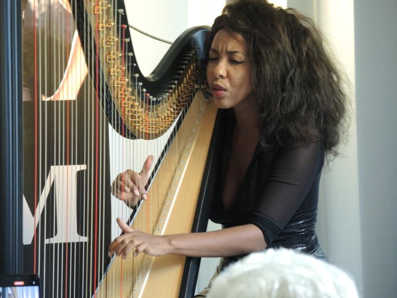 ZEM speelt harp tijdens Jazzathome 2024