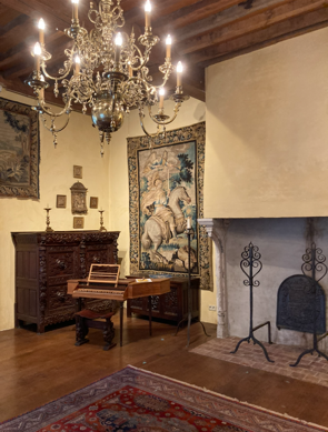 zicht op het interieur van de gotische kamer