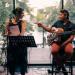 Interplay Duo